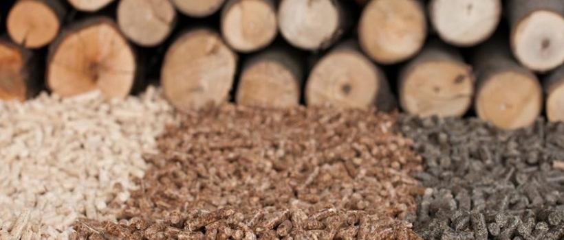  Biomass Fuel Testing