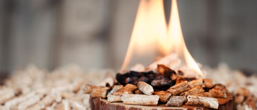 Biomass Pellets Market
