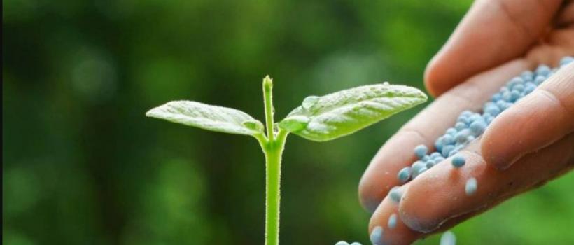Biopesticides Market