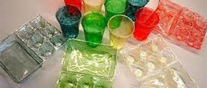 Global Bioplastic Packaging Material 