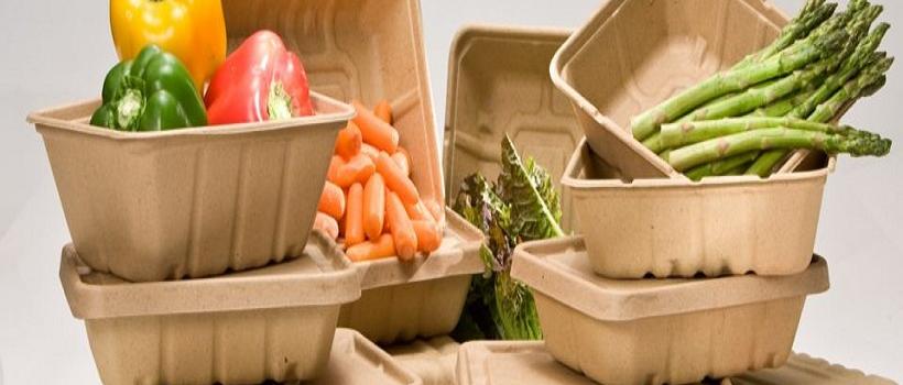 Bioplastic Packaging Material, Bioplastic Packaging Material Market, Bioplastic Packaging Material Market Growth