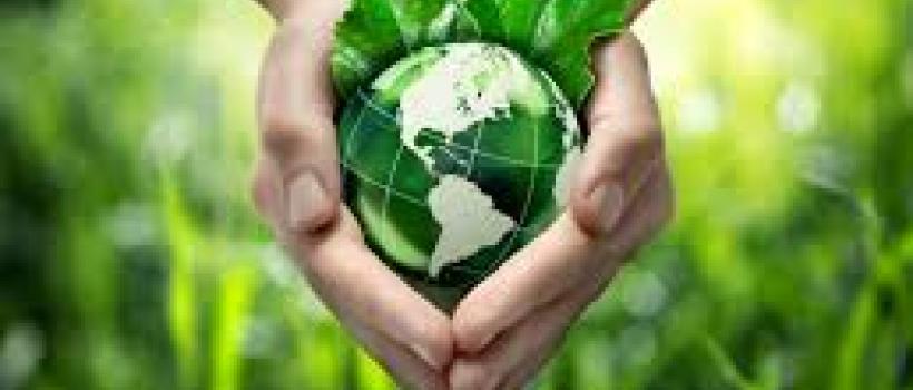 Bioplastic Packaging Market