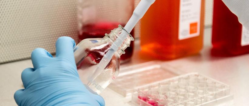 Global Bioprocess Containers Market