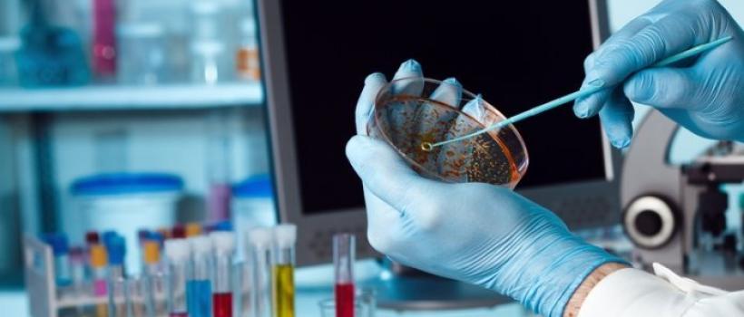 Biotechnology Reagents