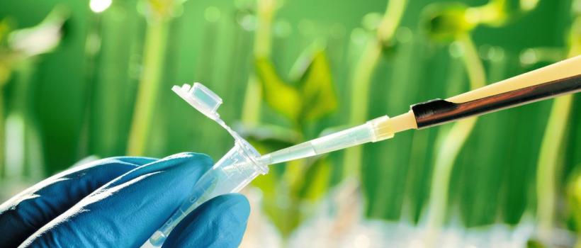 Biotechnology Market