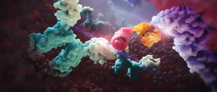 Bispecific Antibodies Market