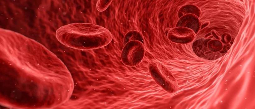 Blood Cancer Drugs Market Size, Share, Growth And Trends