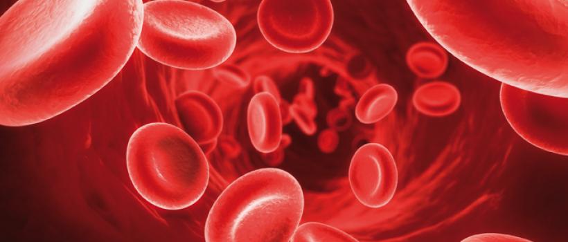  Blood Product Market