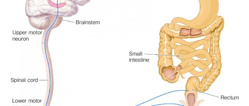 Bowel Management Systems Market 