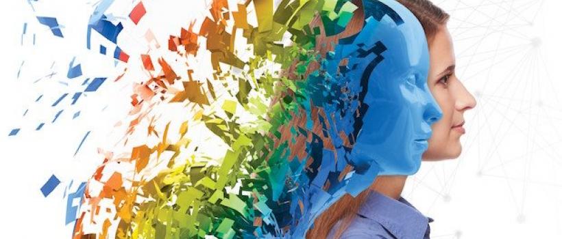 CAE Software