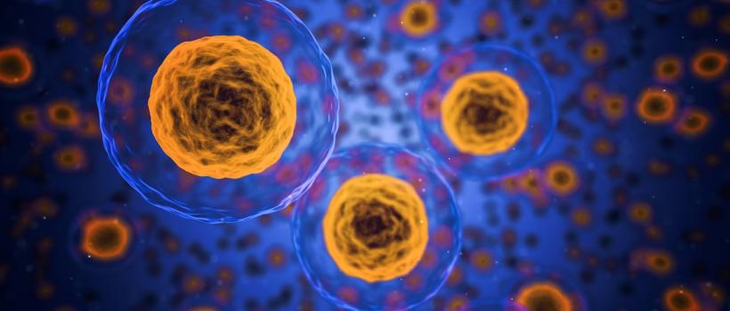 Car T Cell Therapy Market
