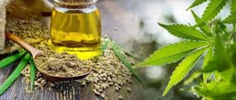 CBD Hemp Oil Market Growth