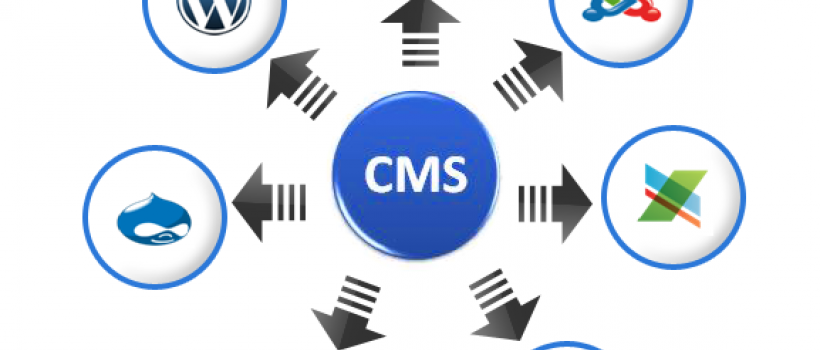 CMS Development Company