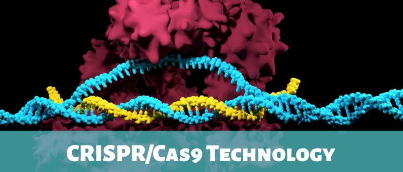 CRISPR/Cas9 Technology