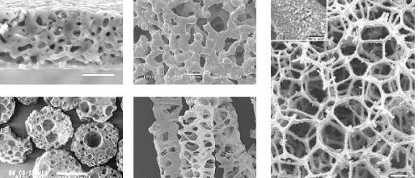 Calcium Phosphate Based Ceramic