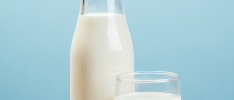 Camel Milk Market 
