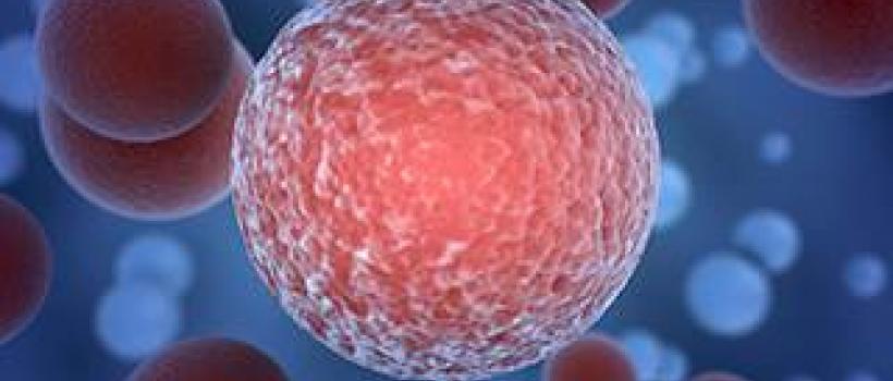 Cancer CDK Inhibitors