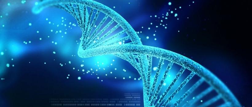 Cancer Gene Therapy