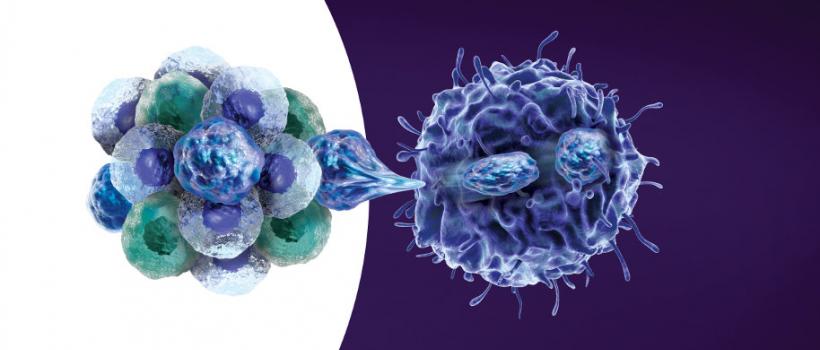 Cancer Stem Cells (CSCs) 