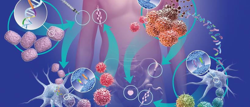 Cancer Therapy Market