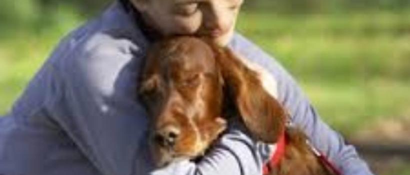Canine Atopic Dermatitis Treatment