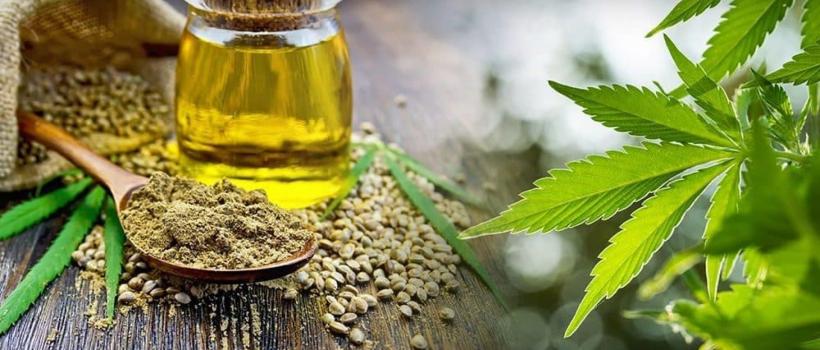 Cannabis Extract Market