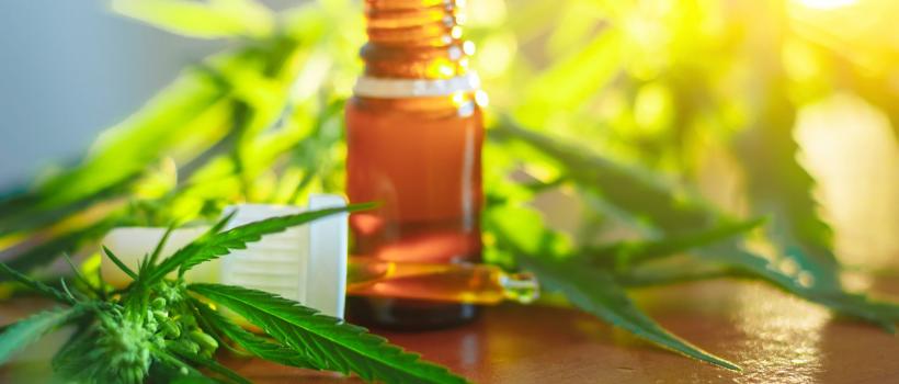 Cannabis Extract Market 