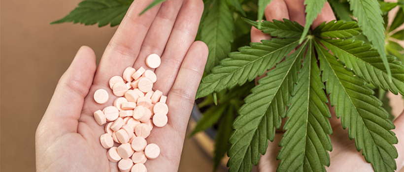 Cannabis
