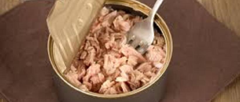 Canned Tuna
