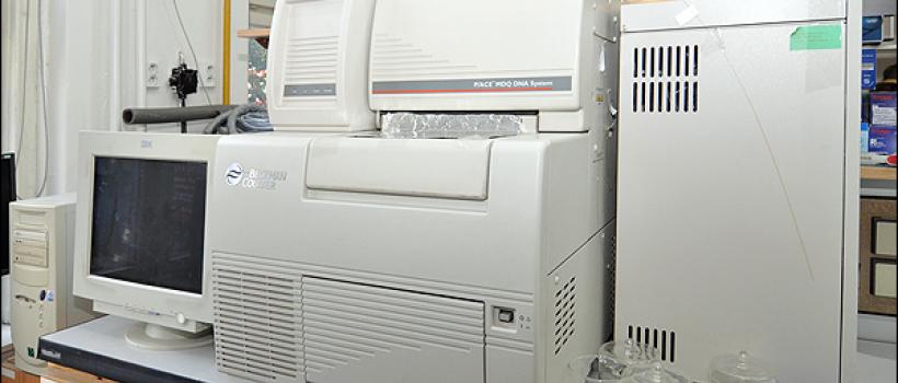 Capillary Electrophoresis HPLC
