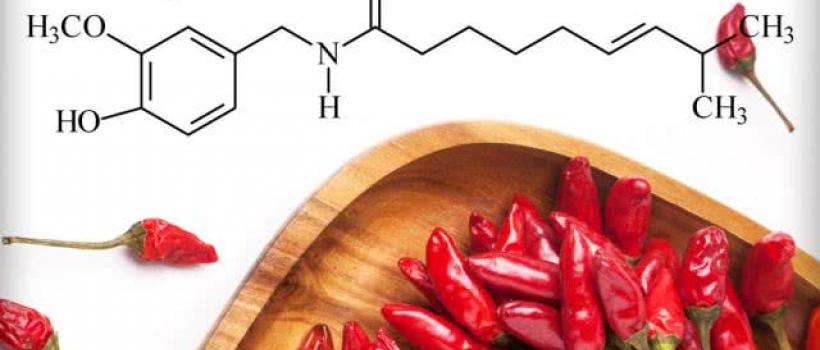 Capsaicin Market