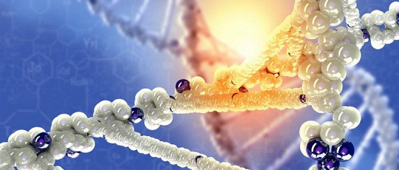 Car T Cell Therapy Market