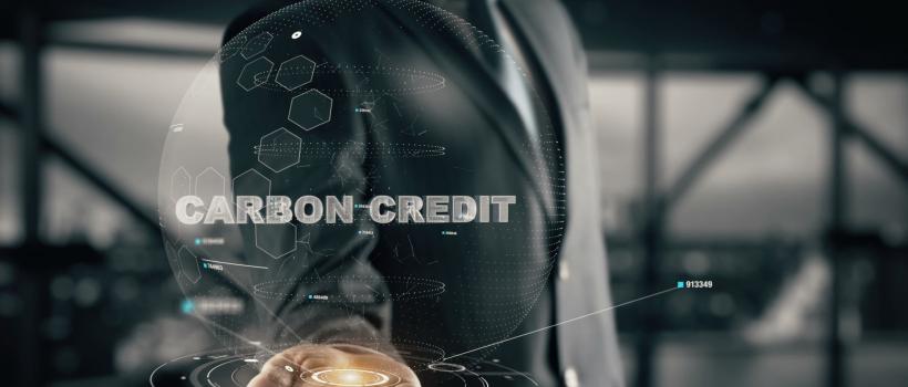 Carbon Credit Market