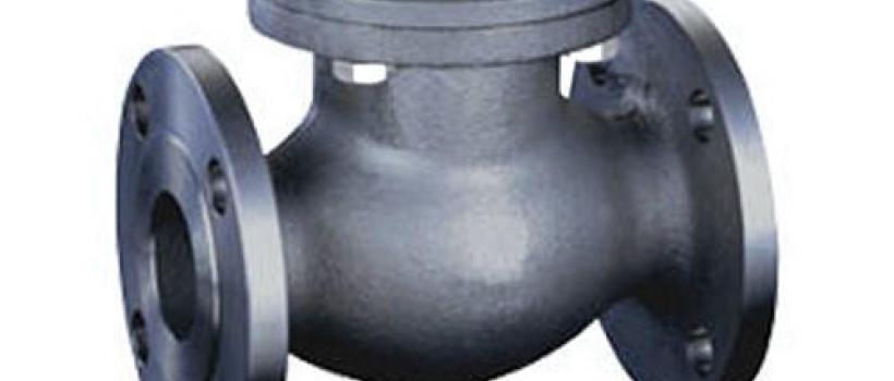 Carbon Steel Check Valves