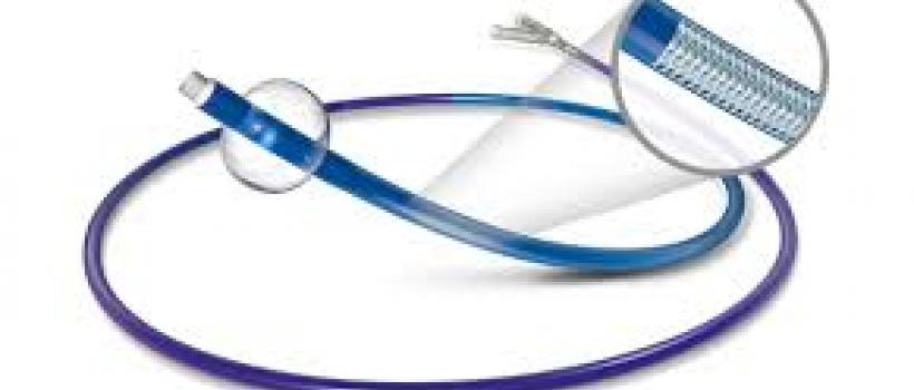 Cardiac Guidewire and Catheters Market 