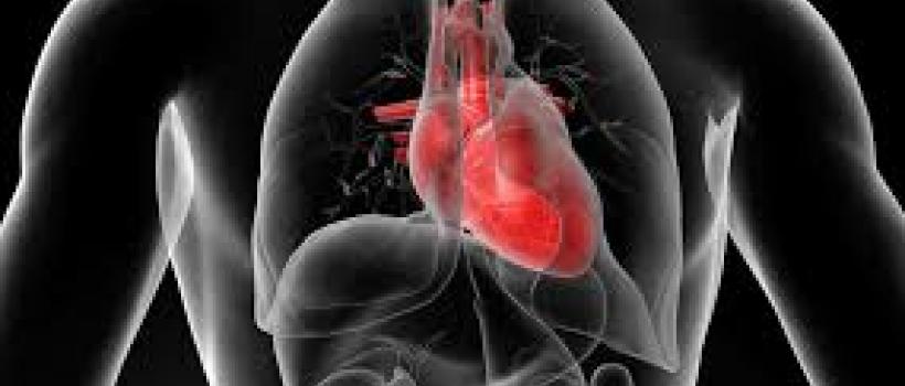 Cardiology Defibrillators