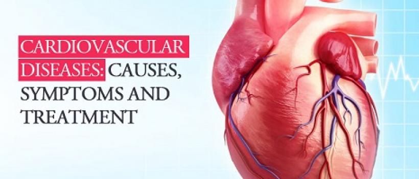 Cardiovascular Repair And Reconstruction Devices 