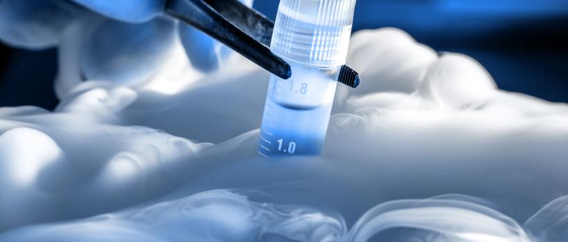 Cell Cryopreservation Market