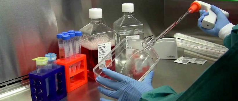Cell Harvesting Market