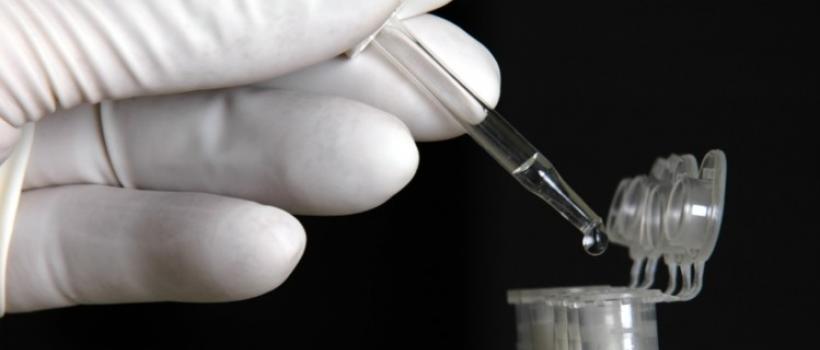 Cell Line Development Equipment 