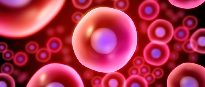 Cellular Analysis