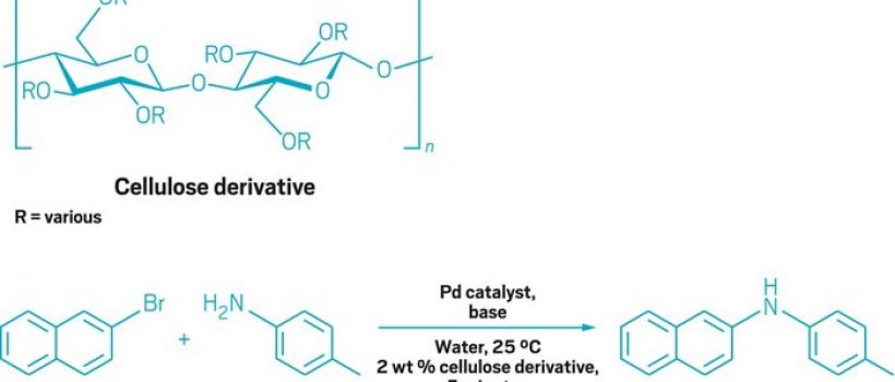 Cellulose Derivative  Market