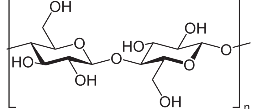 Cellulose Derivative Size Industry 