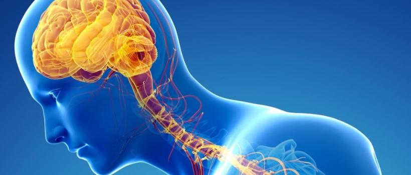 Chaple Disease Therapeutics