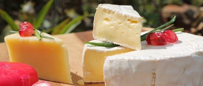 Cheddar Cheese- Fact.MR