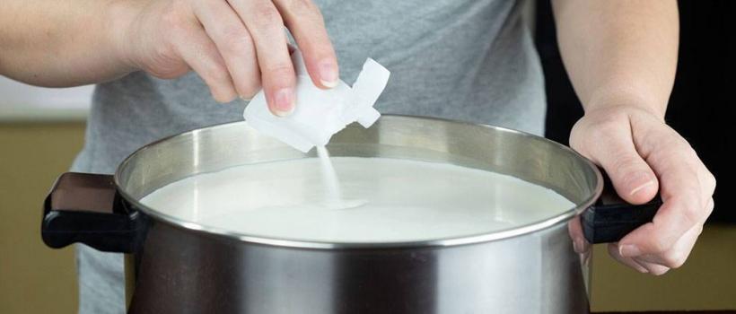 Cheese Making Culture