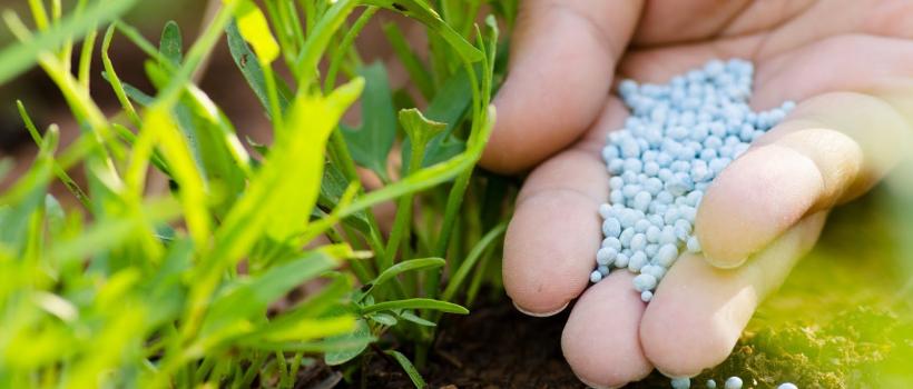 Chemical Fertilizers,  Chemical Fertilizers Market,  Chemical Fertilizers Market Growth,  Chemical Fertilizers Market Size,  Chemical Fertilizers Market Share
