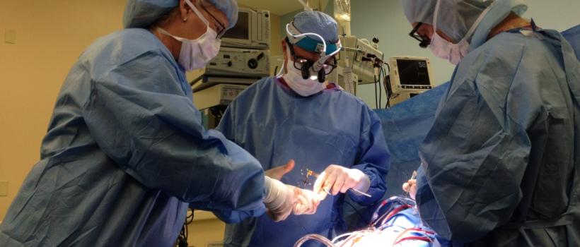 Chest and Cardiac Surgeons Email List
