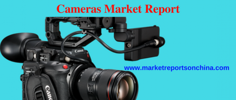 market research report