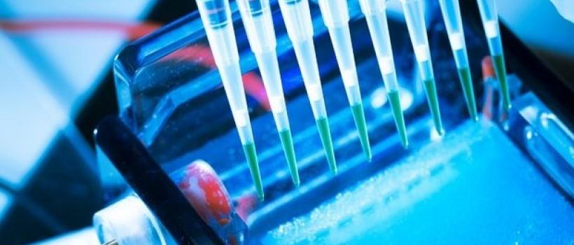 China In Vitro Diagnostics (IVD) Market